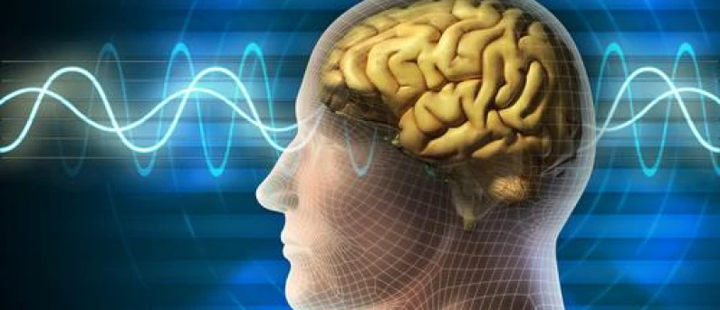 Gelombang Otak – Level of Consciousness
